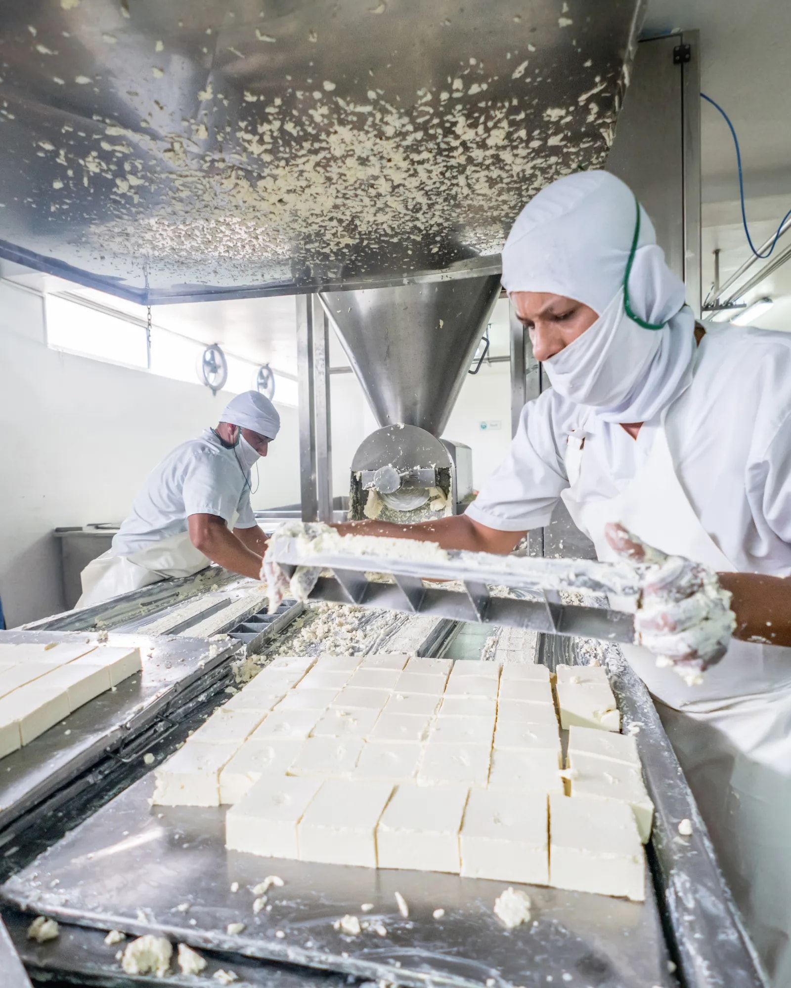 Lactalis India Partnership with FluxGen