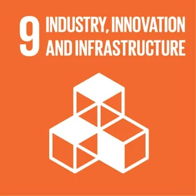 INDUSTRY, INNOVATION AND INFRASTRUCTURE